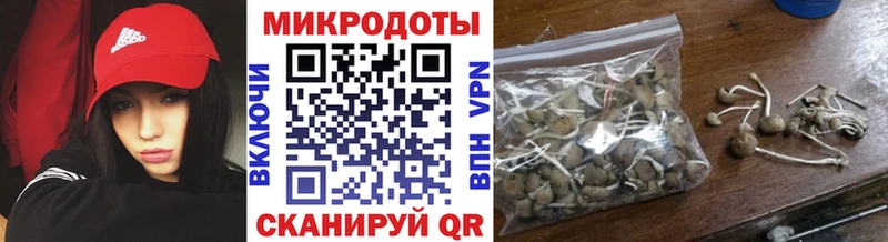 Галлюциногенные грибы мицелий  купить наркотики цена  Кореновск 