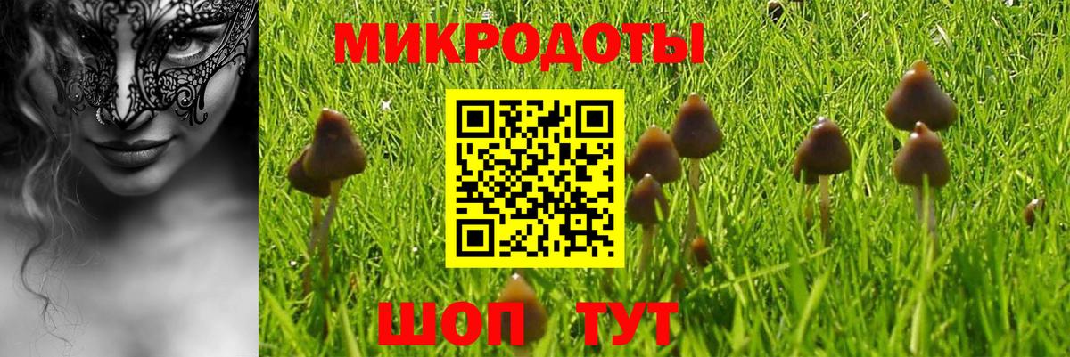 Псилоцибиновые грибы Magic Shrooms  Вход с VPN  Галлюциногенные грибы MAGIC MUSHROOMS  Кореновск 